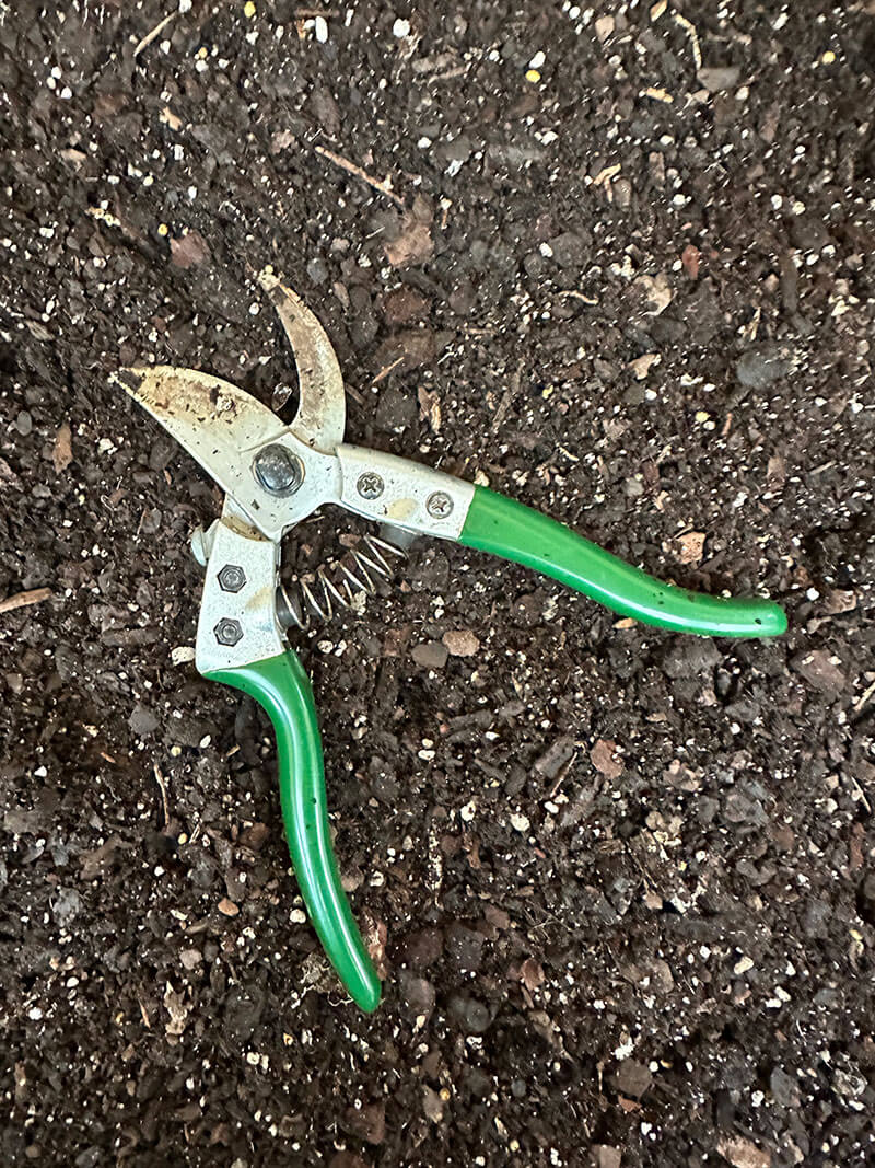 Tree and Shrub Snips
